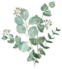Watercolor floral arrangement. Green eucalyptus branches bouquet. Botanical painting. PNG clipart with transparent background. - 567754868