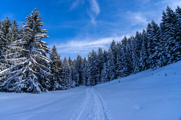 Fototapeta na wymiar Weg in Winterlandschaft mit schneebedecktem Wald