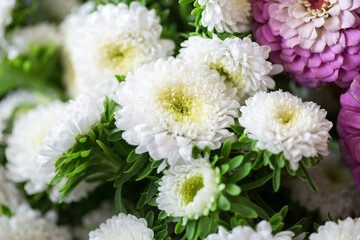Assorted Flowers blooming macro photography