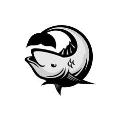 snapper vector design on white background