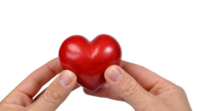 Red heart in hands isolated on transparent background, PNG.	