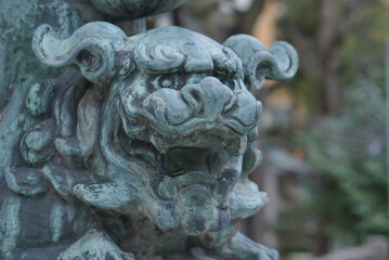 Fototapeta na wymiar Old and traditional lion stone statue, Stone Lions guardian statue in Namba Yasaka Shrine in Osaka, Japan