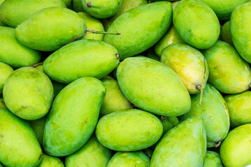 close up of green mangoes