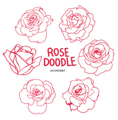 Rose vecter illustration. Rose flowers red outline on the white background.
