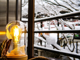 電球と雪景色