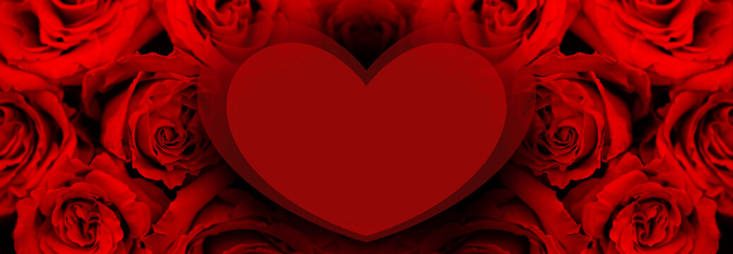 Valentine's day concept banner  with roses and red heart. Background, soft focus.