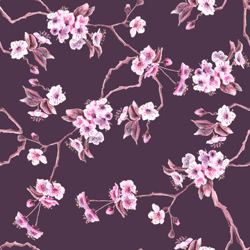 Seamless repeatable floral pattern. Sweet Cherry flowering branch - watercolor. Garden tree branch in springtime. Illustration with mauve purple background. Botanical graphic.