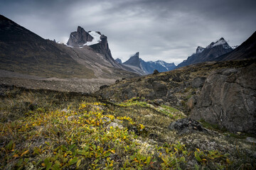 Arctic valley of Akshayuk Pass, Baffin Island, Canada on a cloudy day. Dramatic arctic landscape with Mt. Breidablik and Mt. Thor. - 567767024