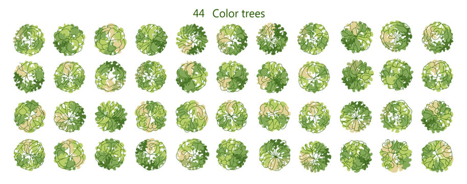 Tree for architectural floor plans. Entourage design. Various trees, bushes, and shrubs, top view for the landscape design plan. Vector illustration.
