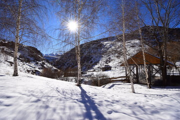 relaxation.  day off.  sunny day in the mountains.  photo.