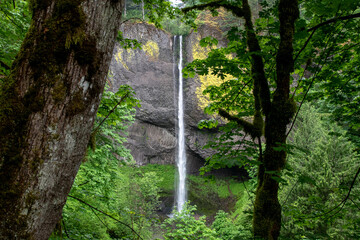 Full Shot of Latourell Falls and Cliffside in the Columbia River Gorge in Oregon & Washington