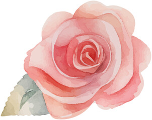 Rose Watercolor Art Icon
