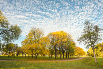 Countryside landscape in autumn with road, trees and curve