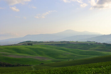 Fototapeta premium Landscape from Tuscany, Province of Siena, Italy. 