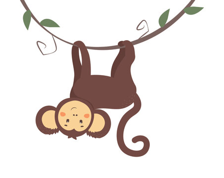 Cute baby monkey hanging on tree branch, swinging and swaying with paw. Marmoset or macaque with brown hair. Colored flat vector illustration of smiling and playing animal character isolated on white