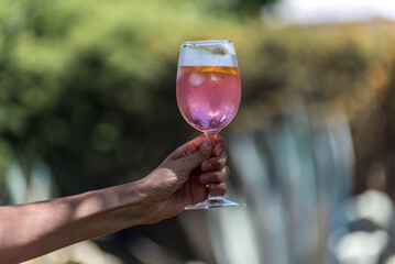 woman's hand raising a glass with a pink alcoholic beverage, gin and orange