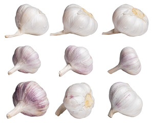 Garlic isolated on white background. Collection of garlic isolated on white background.