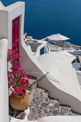 Fototapeta na wymiar Vertical colorful landscape of Oia Santorini with flower next to a door decoration