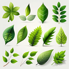 Nature's Beauty: A Collection of Green Leaf Icons