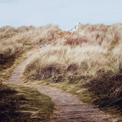 Winding Path To Findhorn Beach, Scottish Highlands