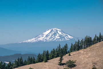 Fototapeta premium Mount Adams Via Hood River Mountain in Oregon