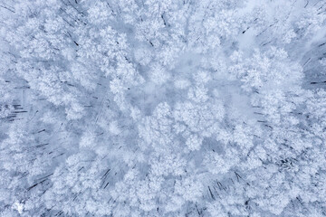 Fototapeta premium Kurkino Nature Park - Moscow, Russia