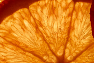 juicy slice of orange, macro photography