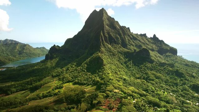 Aerial Tahiti, Drone Moorea island. Tropical pineapple plantations. French Polynesia tour travel vacation, paradise getaway, romantic honeymoon exotic destination. 
