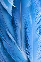 Feathers in blue light. Background soft lighting for feather. Heaven wallpaper - generative ai