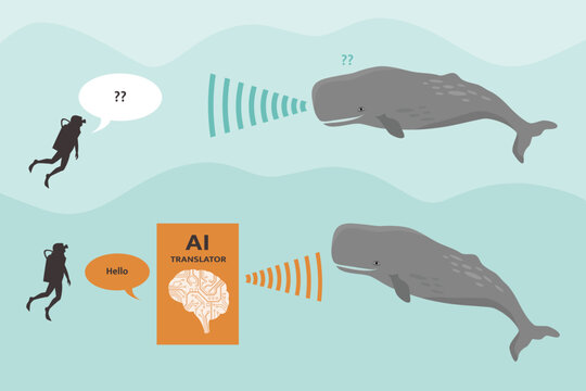 Using AI to translate whale communication. Artificial intelligence decoding sperm whale coda. Human talking to whale.