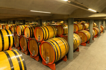 wine cellar full of wooden barrels in Barolo, Piedmont, Italy