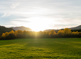 Naklejka premium Sunrise on field