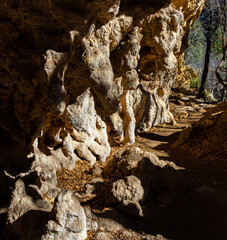 The Grotto  on The McKittrick Canyon Trail, Guadalupe Mountains National Park, Texas, USA
