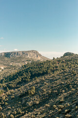 view of forest and mountains