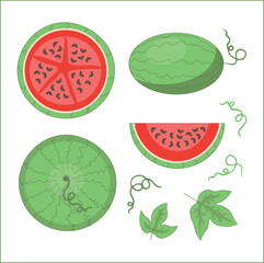 Watermelon picture, vector illustration. Half cut, slice, whole berry, leaves and curls volumetric icons. Vector illustration.