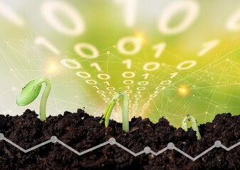 Agricultural concept. Green plants at field