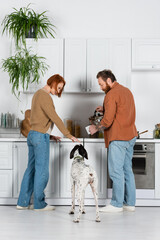 Side view of woman petting dalmatian dog while husband making tea in kitchen.