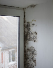 The window is covered with mold in the middle of the house. Strong formation of black fungus. Excessive humidity and condensation formed a black coating of mold on the wall.