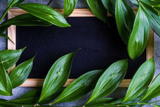 Overhead view of Ruscus leaves around the edge of a blackboard