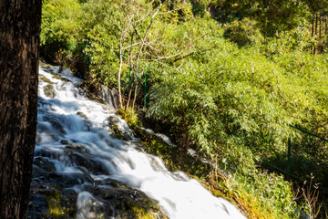 Woodland waterfall in Nainital, Uttrakhand 
