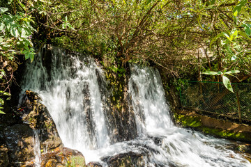 Woodland waterfall in Nainital, Uttrakhand 