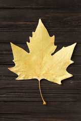 Naklejka na ściany i meble Autumn dry leaf on wooden background top view.