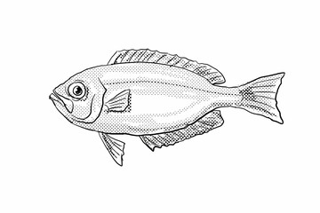 Cartoon style line drawing of a Hawaiian bigeye Priacanthus meeki or ula lau au a fish endemic to Hawaii and Hawaiian archipelago with halftone dots shading on isolated background in black and white.