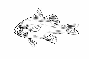 Cartoon style line drawing of an Apogon erythrinus or Hawaiian ruby cardinalfish a fish endemic to Hawaii and Hawaiian archipelago with halftone dots shading on isolated background in black and white.