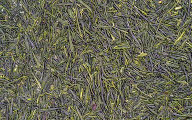 Feuilles séchées de thé vert Sencha originaire du Japon - texture vu du dessus en haute définition - macro photographie