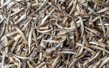 Feuilles de thé blanc originaire du Japon avec des grains de riz grillés - texture vu du dessus en haute définition - macro photographie