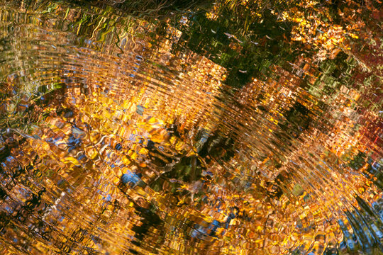 Autumn Reflections