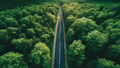 Aerial top view of asphalt road through green forest, healthy rain forest,  environment, health, green economy, view of nature ecosystem for save Earth with Generative AI. - obrazy, fototapety, plakaty