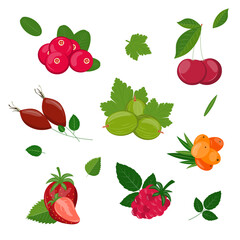 Seamless set with berries. Berries on a white background. Cranberry, cherry, rosehip, dog-rose, sea buckthorn, hippophae, strawberry, raspberry, gooseberry with leaves. 