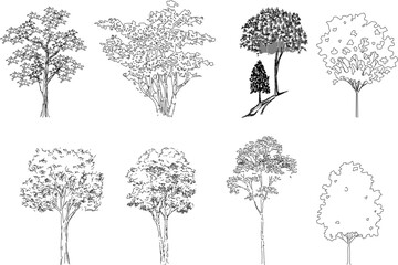 Big tree hand drawn vector illustration sketch